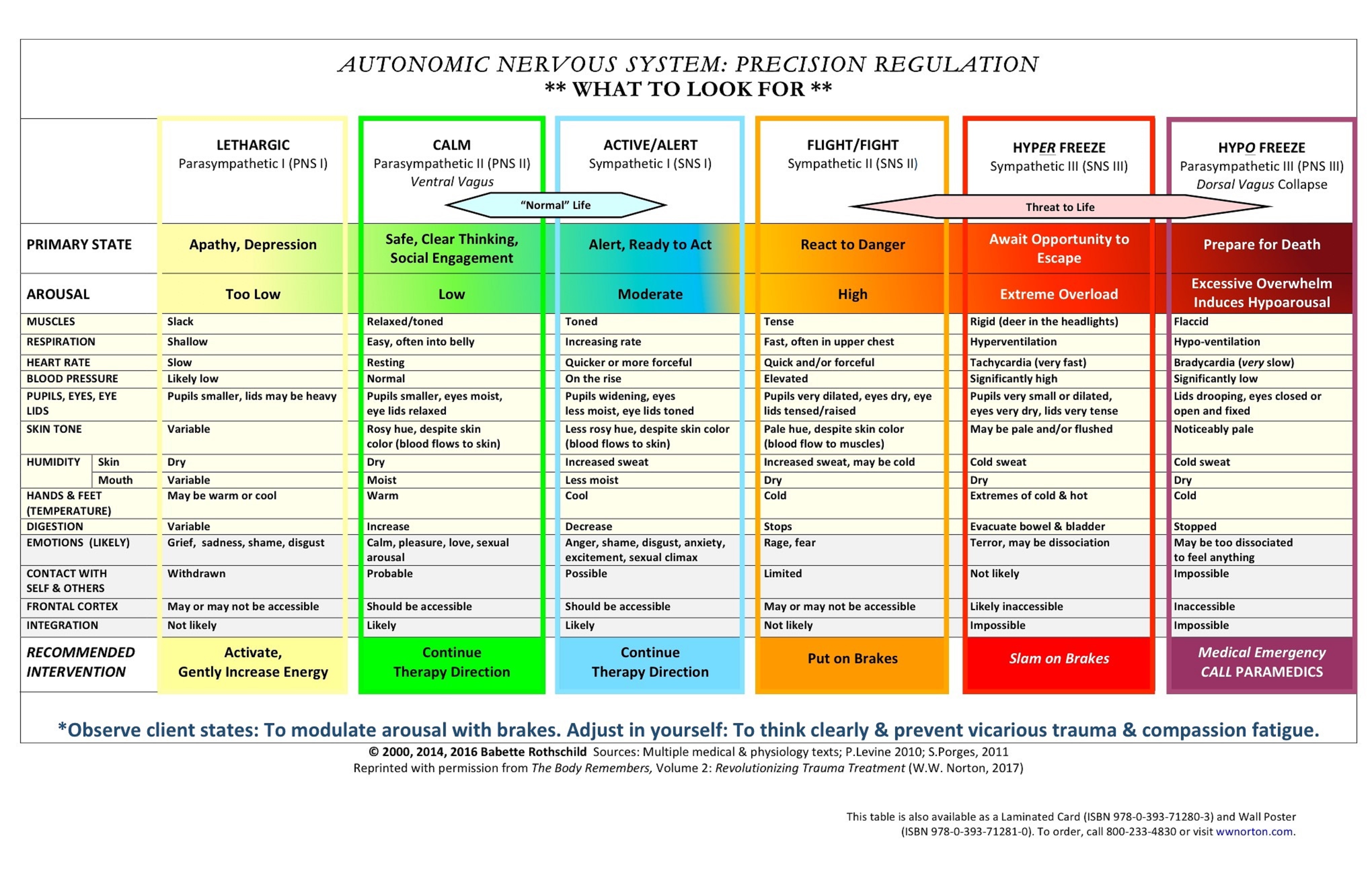 SOMATIC TRAUMA THERAPY